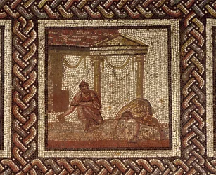 Bohnensaat, aus Saint-Roman-en-Gal